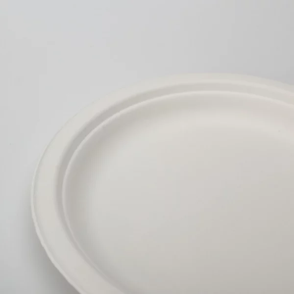 P004 6 Inches Disposable Bagasse Plate