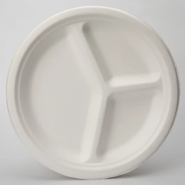 P009 Disposable Bagasse Plate
